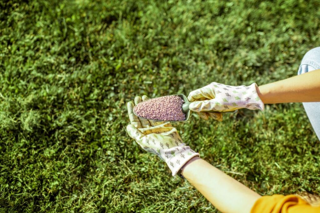 Benefici dell’utilizzo in agricoltura della Zeolite Chabasite