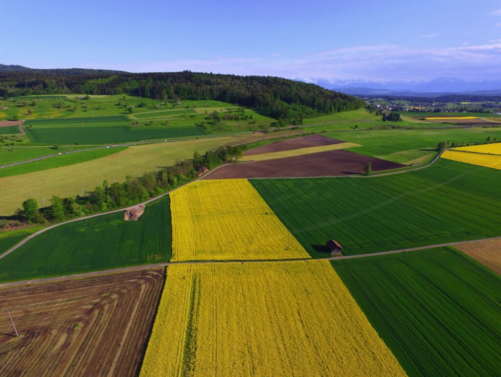 Estratto di Legno in agricoltura: utilizzo e benefici