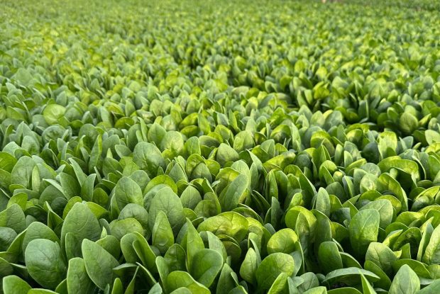 2d39194b-4236-4eaf-9bcb-564398c03e1d